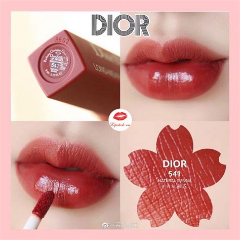 dior addict lip tattoo dupe natural cherry|Browse dupes and find similar shades to Dior lipsticks.